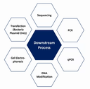 Biopharmaceutical Integrated Solutions