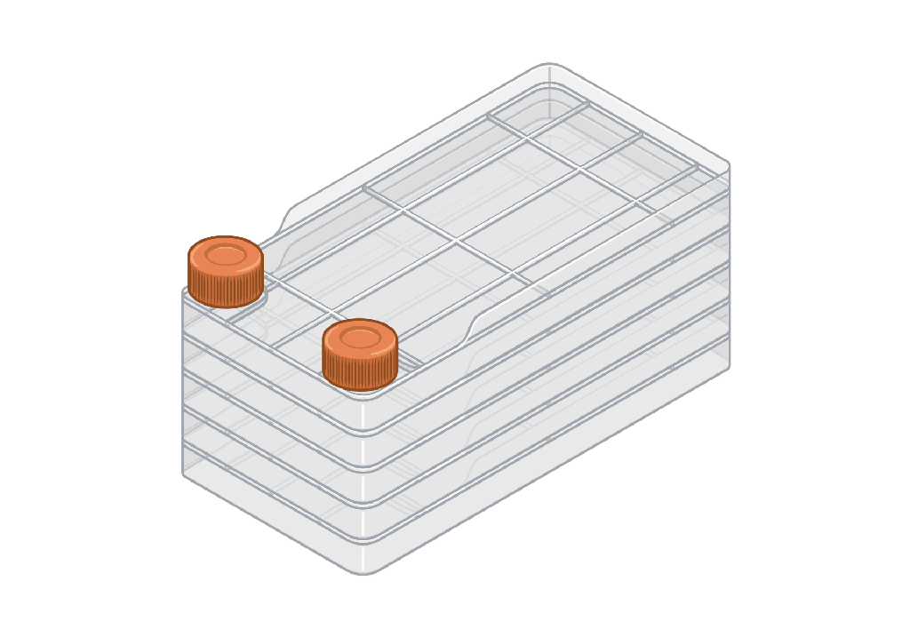 Square Culture Vessels