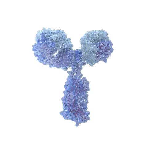 [ANT-ACL20245K] Factor X, paired antibodies for EIA (capt.,a.p./detect,HRP)