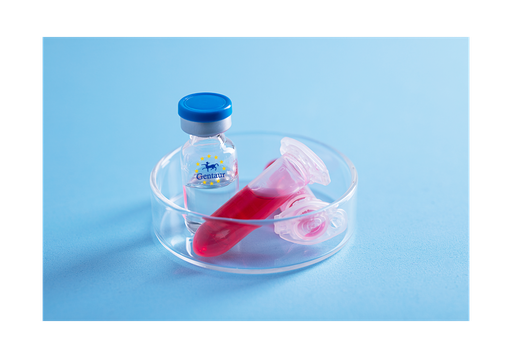 [GEN-PYT252-1mg] TNF a Mouse