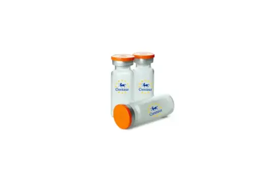[GEN-PTN309-2ug] Vimentin Human