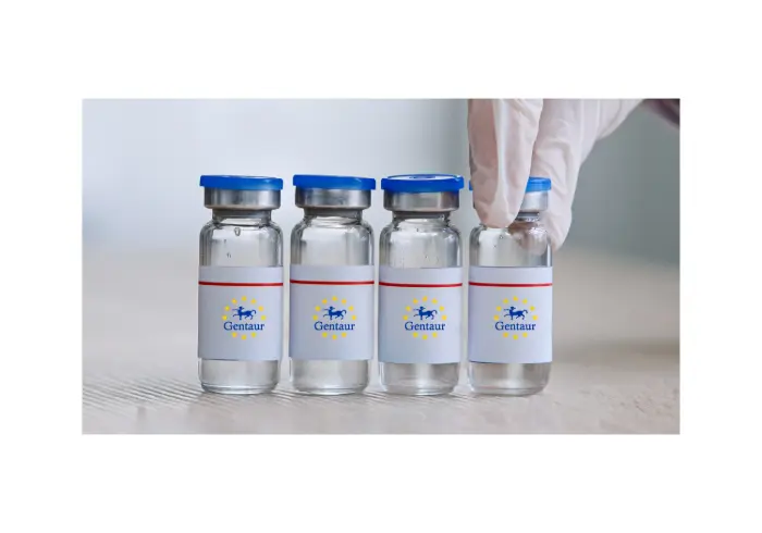 [GEN-VZKV004-50ug] Zika NS1, sf9