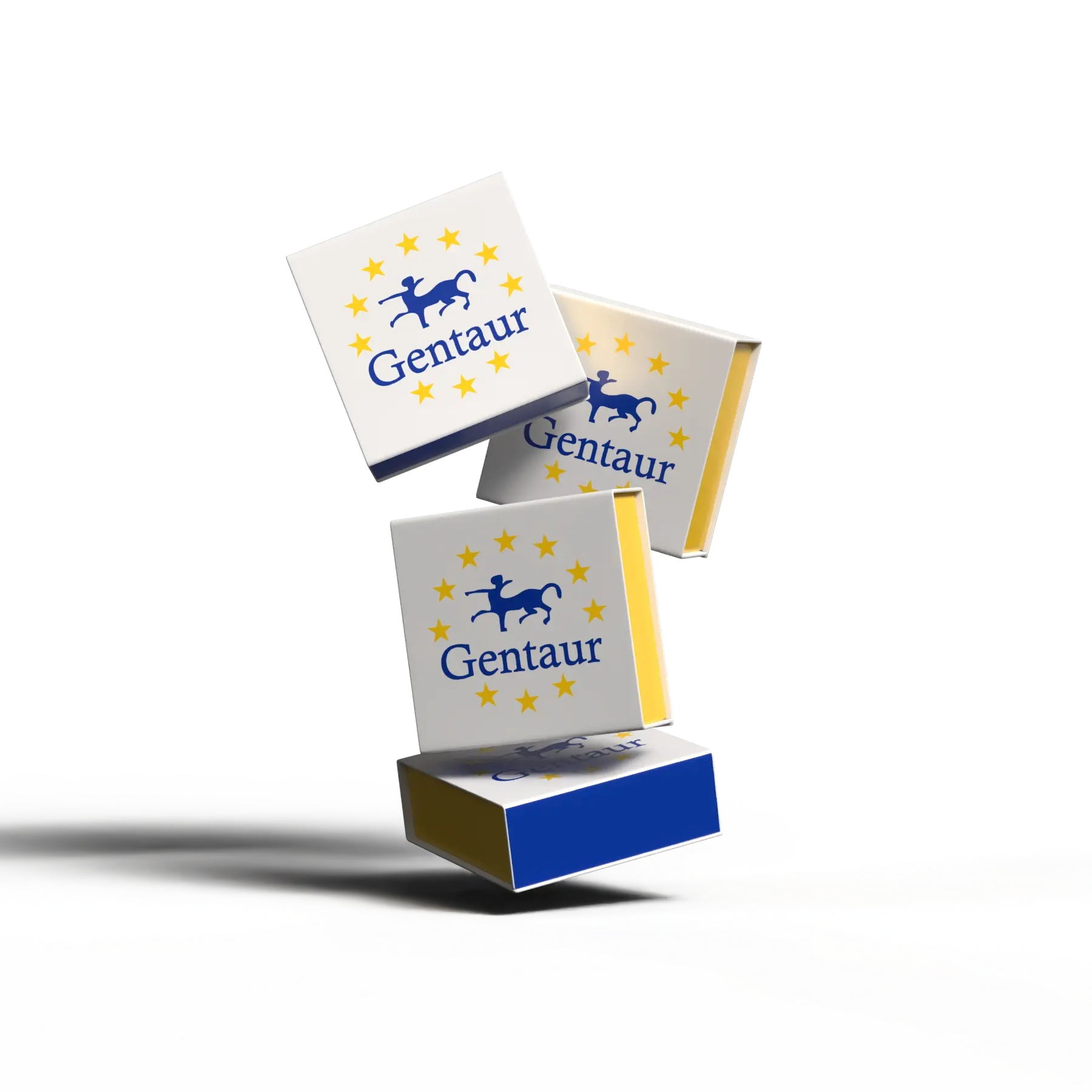 [NAS01A] Nucleic Acid Lateral Flow Strip